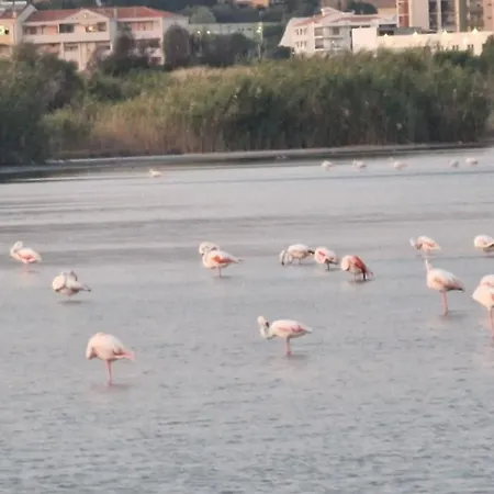 Appartement Tra Cielo E Mare Quartu SantʼElena